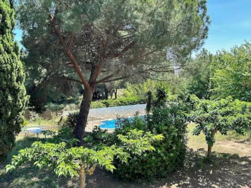 Villa avec piscine et clim, calme nature - 6 pers. - FR-1-795-78
