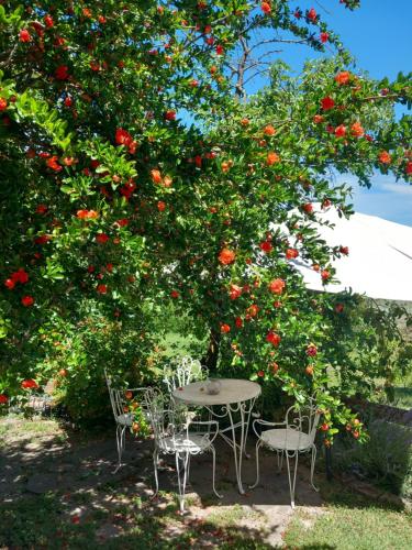 B&B Oasi di pace in Rocca Deʼgiorgi