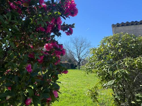 Gite du cerisier gîte à louer Chaud