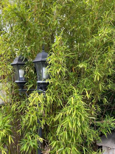 Le " Cerisier" Villa Single bed male shared room daily stay 20h to 10h in La Courneuve