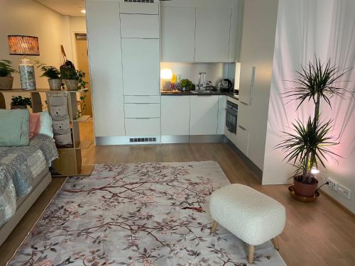 1 studio seaview kalasatama Helsinki, Helsinki (foto 9)