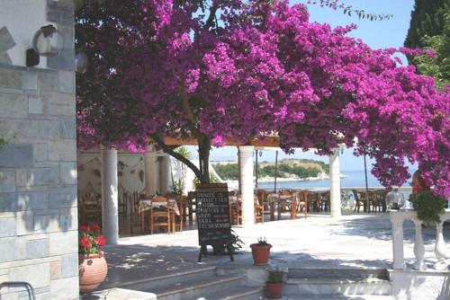 Imerolia Studios, Kassiopi (fotografie 7)