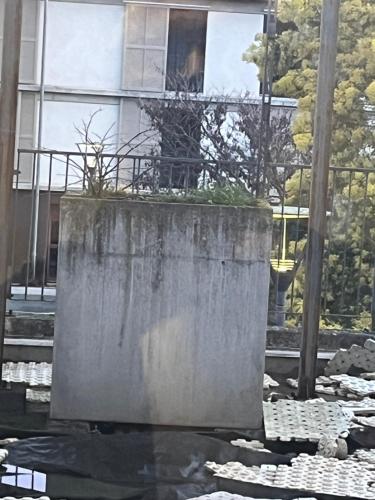 CiTÉ MÉDIÉVALE