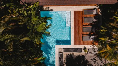 Swimming pool, Lua Villas in Santa Teresa