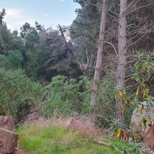 Posada Kalku – khách sạn tại El Tabo