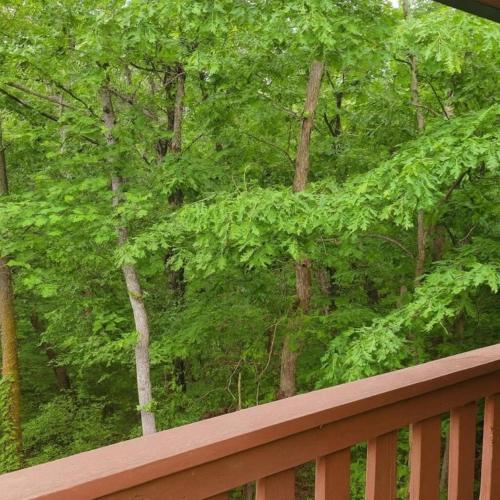 Smoky Mountain Getaway cabin - image 5