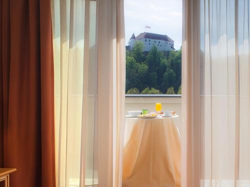 Hotel Paka in Velenje