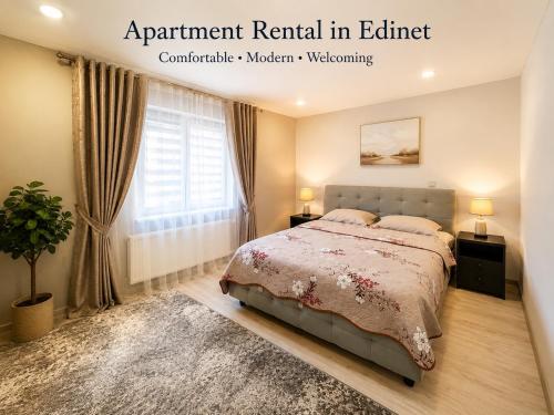 1-Edinet apartament Квартира Единец in Edinets