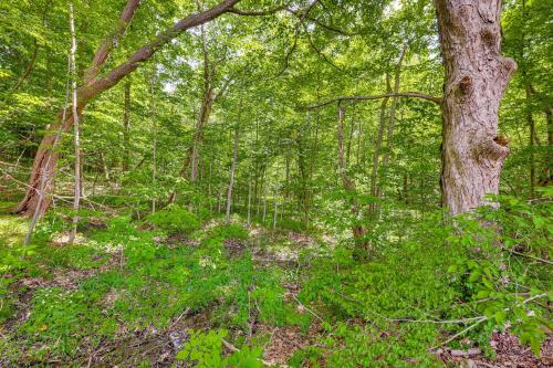 Hike, Hunt & Golf! Cabin on 4 Acres in Naples in Naples (NY)