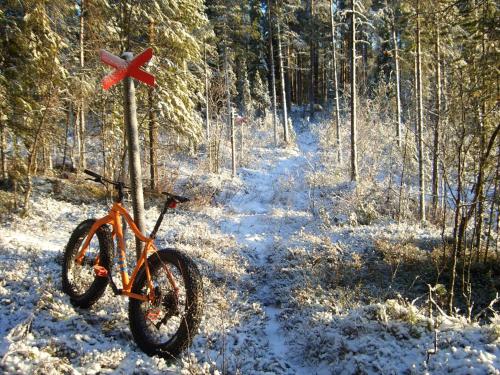 Holmen Bed & Breakfast - image 12