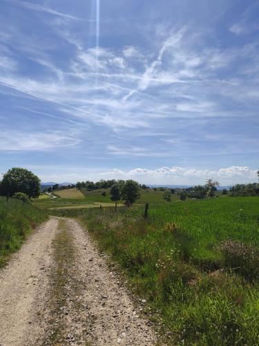 Le Nid Didier in Saint-Didier-en-Velay