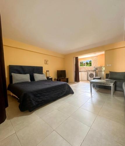 Small functional and impeccable loft facing the sea in El Jadida