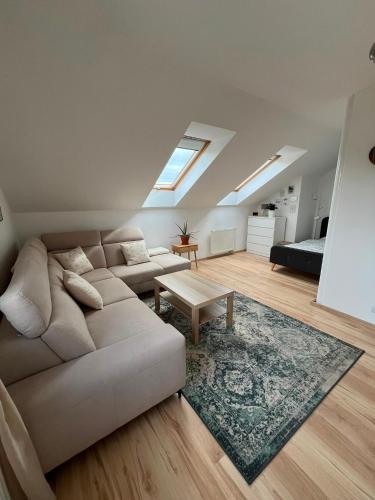 Apartmán U nás na vsi (Apartman U nas na vsi) in Nový Jáchymov