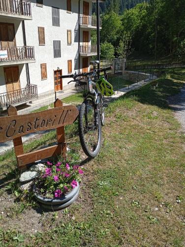 Castori due in Prazzo