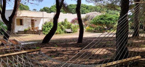 In Pineta al Mulino 4