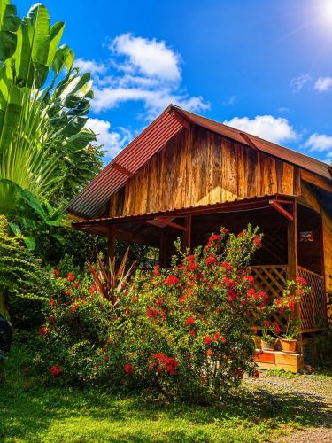 Ballena Oasis Homes & Glamping in อูบิตา