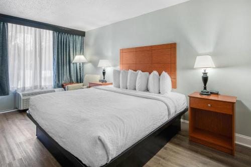 Best Western Fredericksburg - image 20