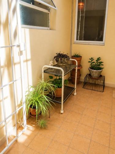 Departamento céntrico amplio y con patio - image 2