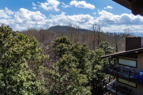 English Mountain Condo #733 in Cosby (TN)