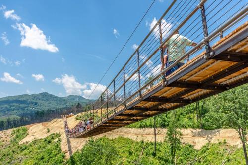 English Mountain Condo #733 in Cosby (TN)