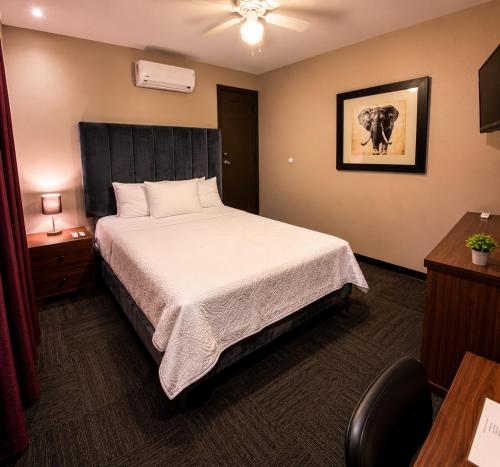 Barrio Inn Morelos