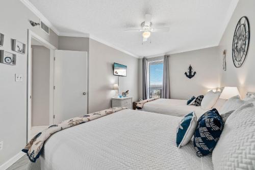 Bluewater 503 - image 4