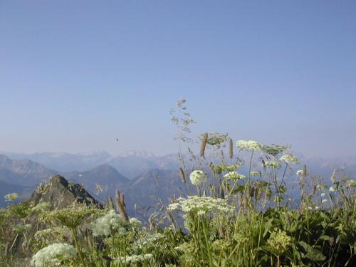 Ferienbauernhof Roth - image 7