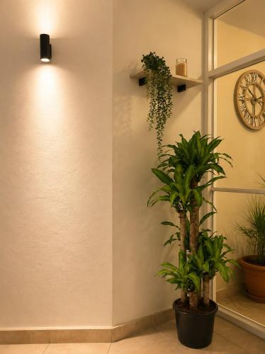 Hall, Cozy room with private bathroom, balcony in Comayagua