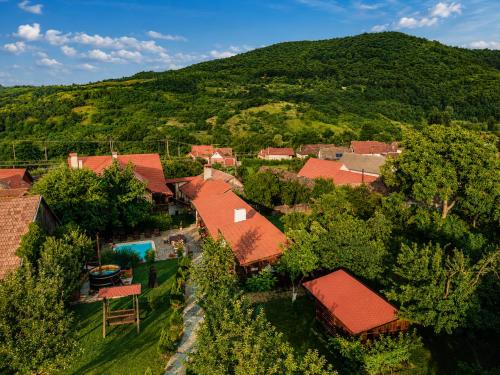 Viesnīcas āriene, Casa Dives - Varianta Boiereasca in Pianu De Jos