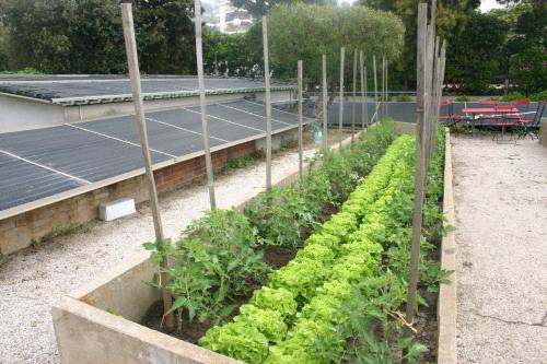 Villa Belle Rive - image 6