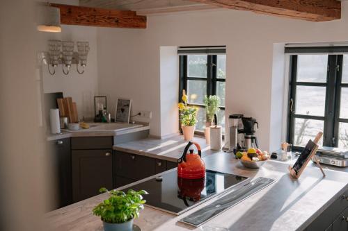 Reetdachtraum Hygge bei Husum in Rantrum