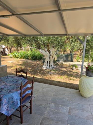 Garyfallia's House in Tragana