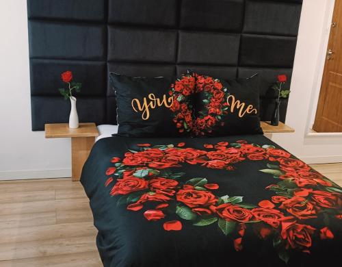 Apartament Torun Dreams - Torun Apartament Torun Dreams - Torun