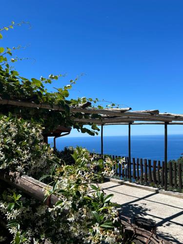 Agriturismo Orrido di Pino - Agerola Agriturismo Orrido di Pino - Agerola