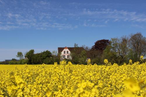 Hof Osterholz