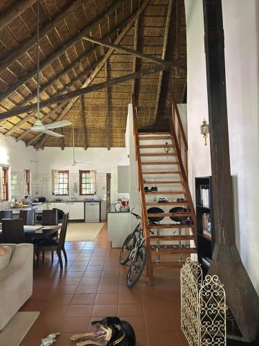Pull Inn, Airport collection and drop-off included in Ramotswa