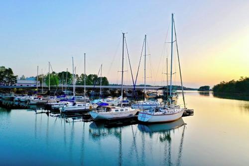 Clemson Lakeside ParkPass PizzaOven YouTubeTV FirePit in Anderson, USA