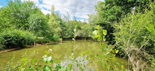 Le Fourneau Rond in Soings-en-Sologne