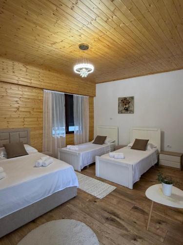 Shkodra Rooms, Шкодер