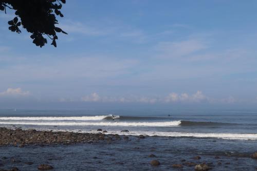 Wavedance Bali Surfhouse in Pekutatan