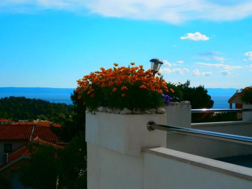  Apartmani Milena-Miki in Makarska