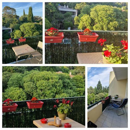 L'Escapade Montpelliéraine