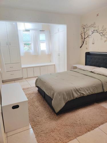 Cozy Stays in Oranjestad