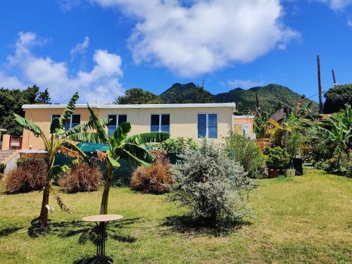Cozy Stays in Oranjestad