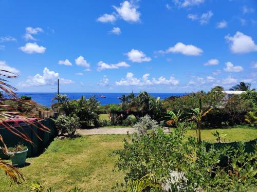 Cozy Stays in Oranjestad