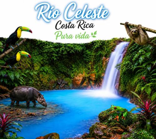 Posada familiar río celeste byl (Posada familiar rio celeste byl) in Guatuso
