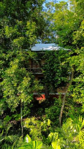 The Cobb House - El Remate, Flores Petén (The Cobb House - El Remate, Flores Peten) in El Remate