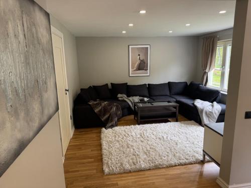 large house with pool in Småland near river (large house with pool in Smaland near river) in Agunnaryd