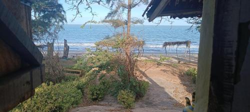 Strandhaus unter den Baobabbäumen (Strandhaus unter den Baobabbaumen) in Tanji