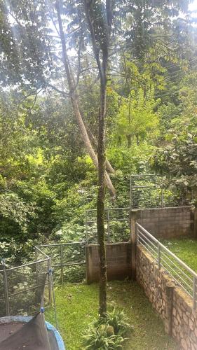 Skats, La Villa de los Alas - Estancias in Juayua